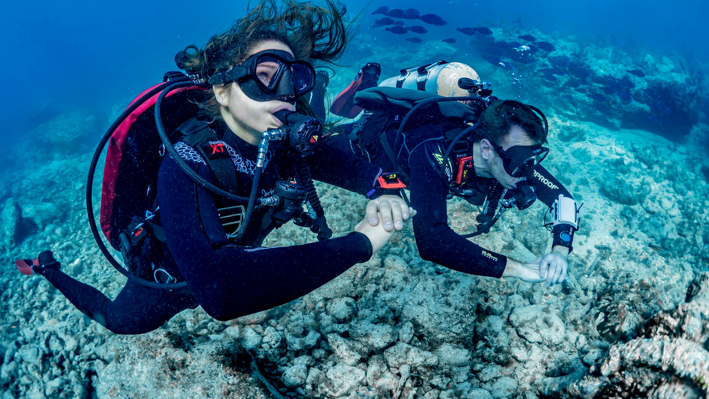 4hr Try Dive